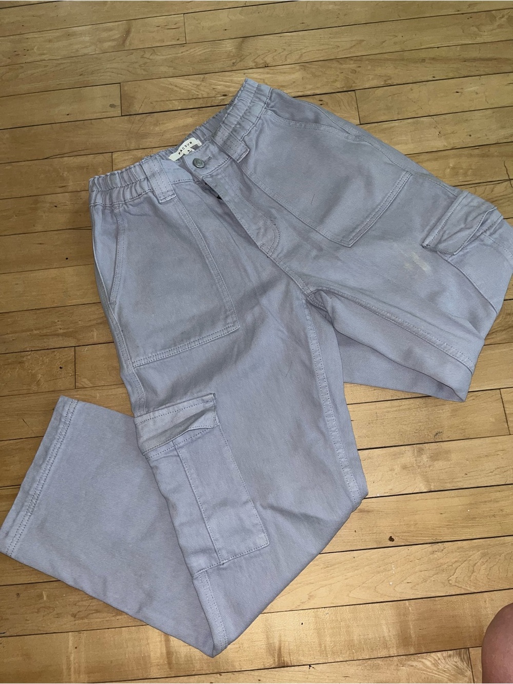 PacSun Cargo Pants in Lavender Gray— Relaxed Utility Style